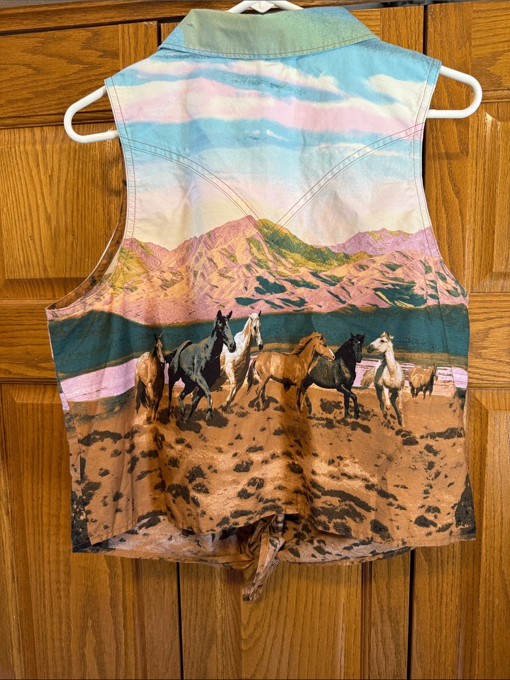 Wrangler Pastel Western Horse Print Tie-Front Crop Top - Blue, Pink, Brown-NWT - Picture 6 of 6